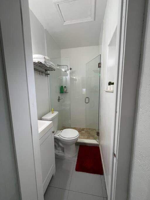 Comfortable Modern Apartment- Central Location. Μαϊάμι Εξωτερικό φωτογραφία